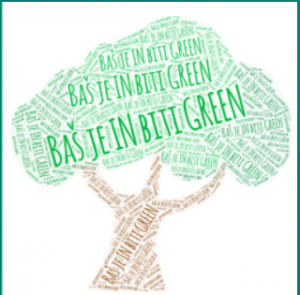 eTwinning projekt – Baš je IN biti GREEN 3 – evaluacija projekta