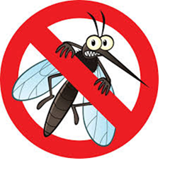 Gimnazijalci u borbi protiv komaraca